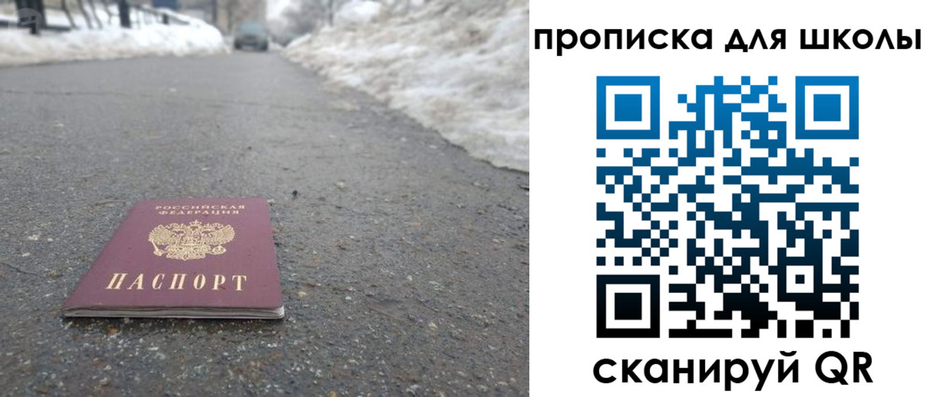 прописка для школы в Новосибирской области
